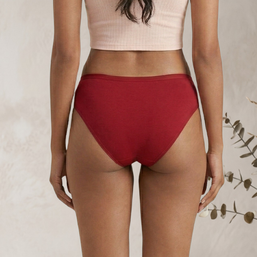 Micromodal High-Waist Brief Panty For Women
