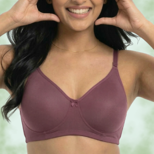 Premium Lycra Solid Full Coverage T-Shirt Bra for Women