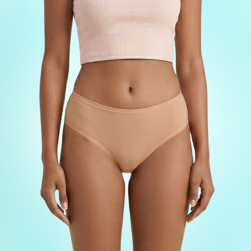 Micromodal High-Waist Brief Panty For Women