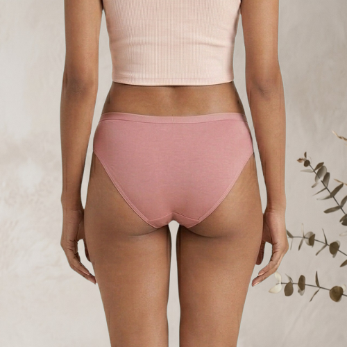 Micromodal High-Waist Brief Panty For Women