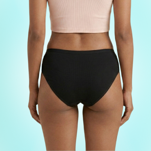 Micromodal High-Waist Brief Panty For Women