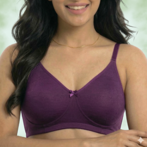 Premium Lycra Solid Full Coverage T-Shirt Bra for Women