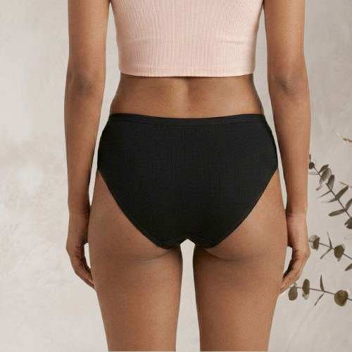 Micromodal High-Waist Brief Panty For Women