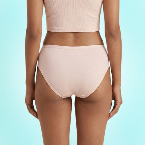 Micromodal High-Waist Brief Panty For Women