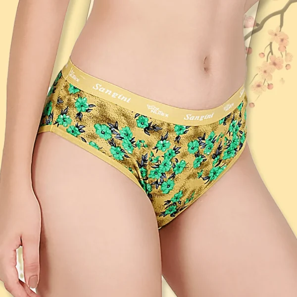 Hipster Panty